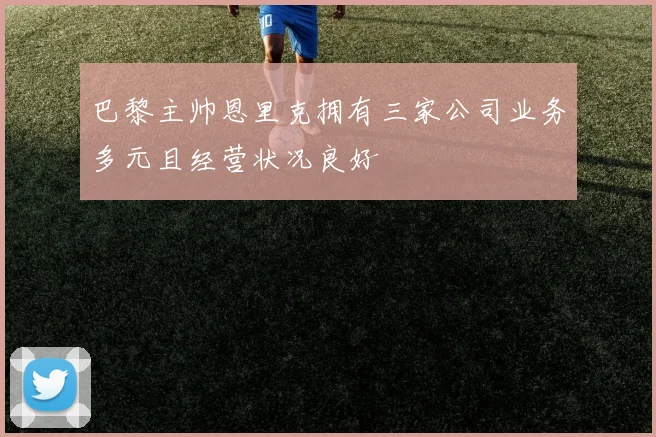 巴黎主帅恩里克拥有三家公司业务多元且经营状况良好